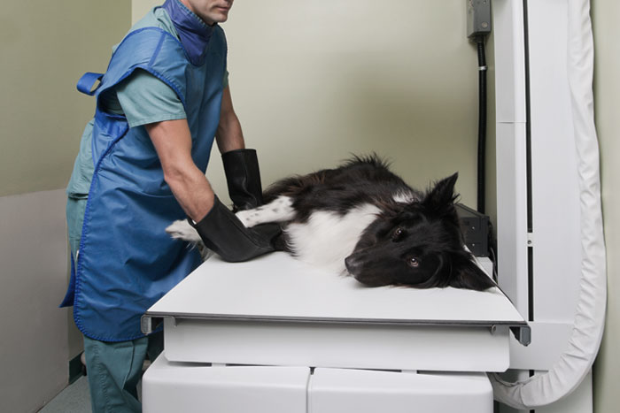 Radiography