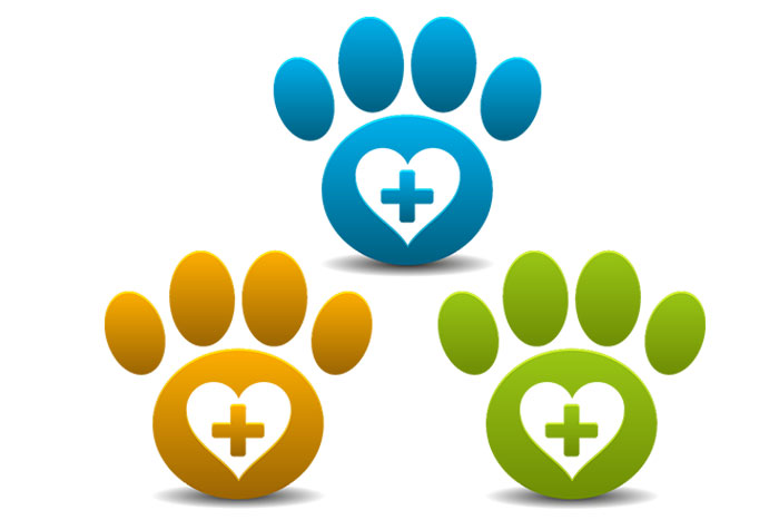 Pet Insurance